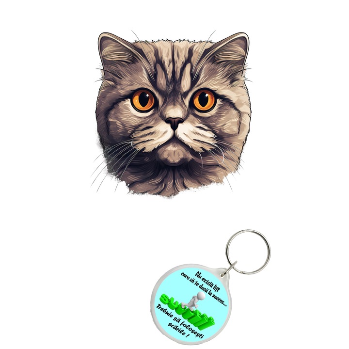 Set sticker decorativ perete, auto si geam, Pisica - Scottish Fold Cat model 4, 35 CM si breloc succes