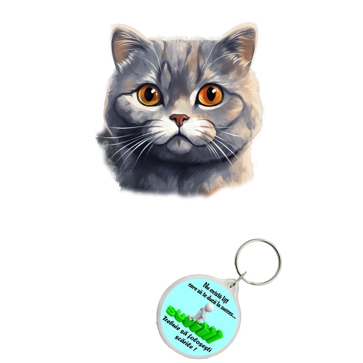 Set sticker decorativ perete, auto si geam, Pisica - Scottish Fold Cat model 2, 40 CM si breloc succes