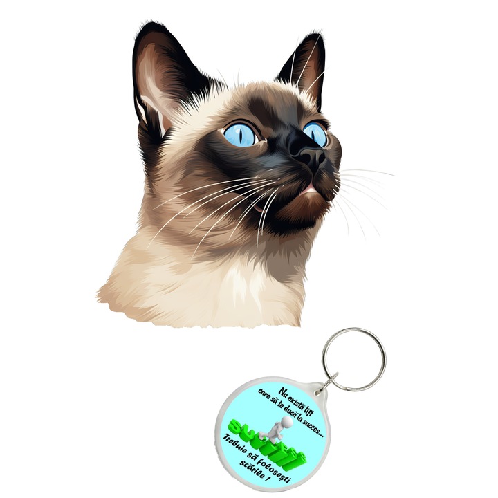 Set sticker decorativ perete, auto si geam, Pisica - Siamese model 6, 40 CM si breloc succes