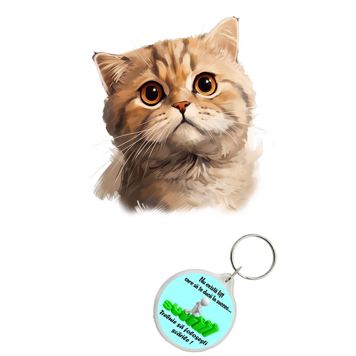 Set sticker decorativ perete, auto si geam, Pisica - Scottish Fold Cat model 11, 35 CM si breloc succes