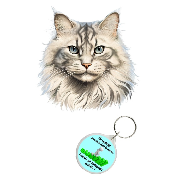 Set sticker decorativ perete, auto si geam, Pisica - Siberian model 12, 40 CM si breloc succes