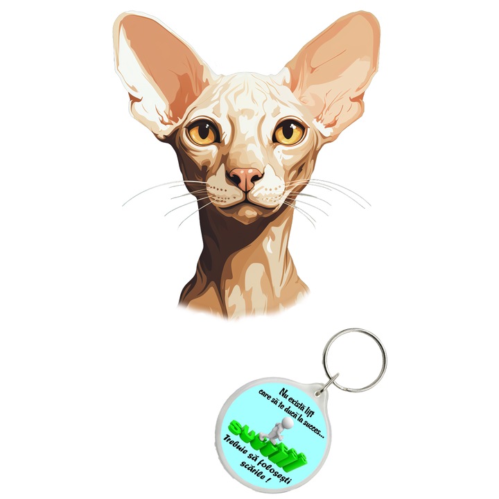 Set sticker decorativ perete, auto si geam, Pisica - Oriental Shorthair Cat model 6, 40 CM si breloc succes