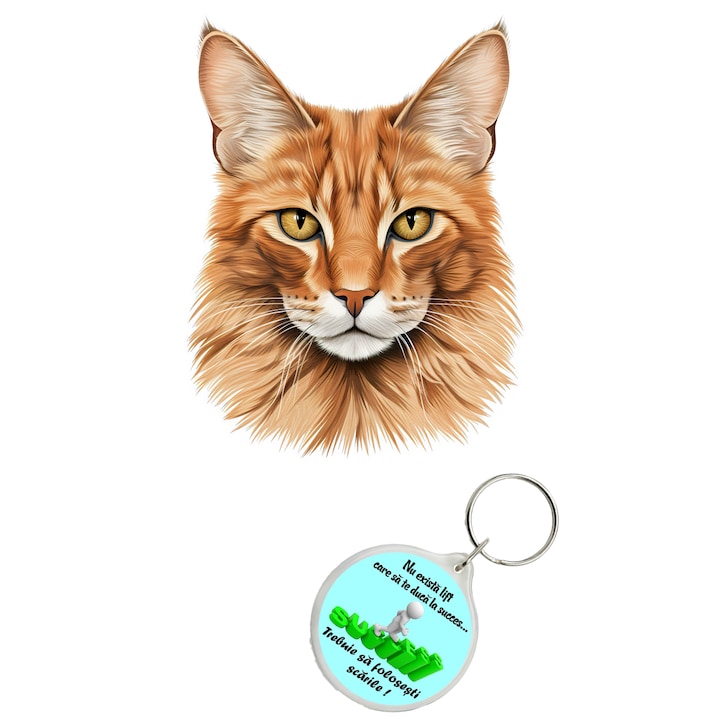 Set sticker decorativ perete, auto si geam, Pisica - Somali model 7, 35 CM si breloc succes