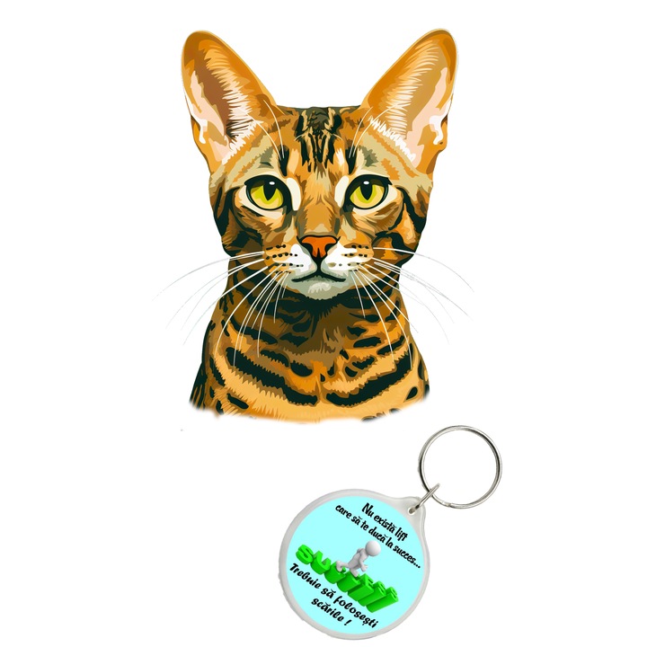 Set sticker decorativ perete, auto si geam, Pisica - Ocicat model 4, 40 CM si breloc succes