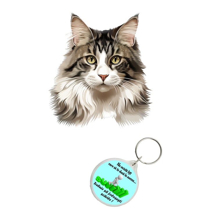 Set sticker decorativ perete, auto si geam, Pisica - Norwegian Forest Cat model 1, 40 CM si breloc succes