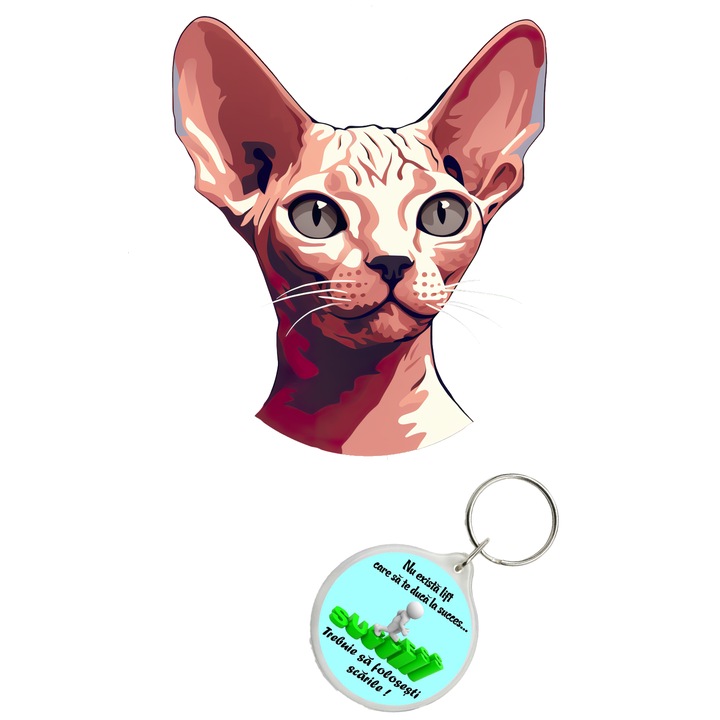 Set sticker decorativ perete, auto si geam, Pisica - Sphynx model 4, 40 CM si breloc succes