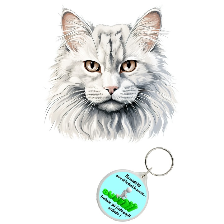 Set sticker decorativ perete, auto si geam, Pisica - Ragamuffin model 9, 35 CM si breloc succes