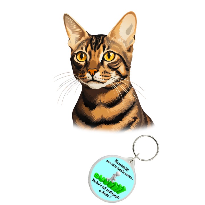 Set sticker decorativ perete, auto si geam, Pisica - Toyger model 9, 40 CM si breloc succes
