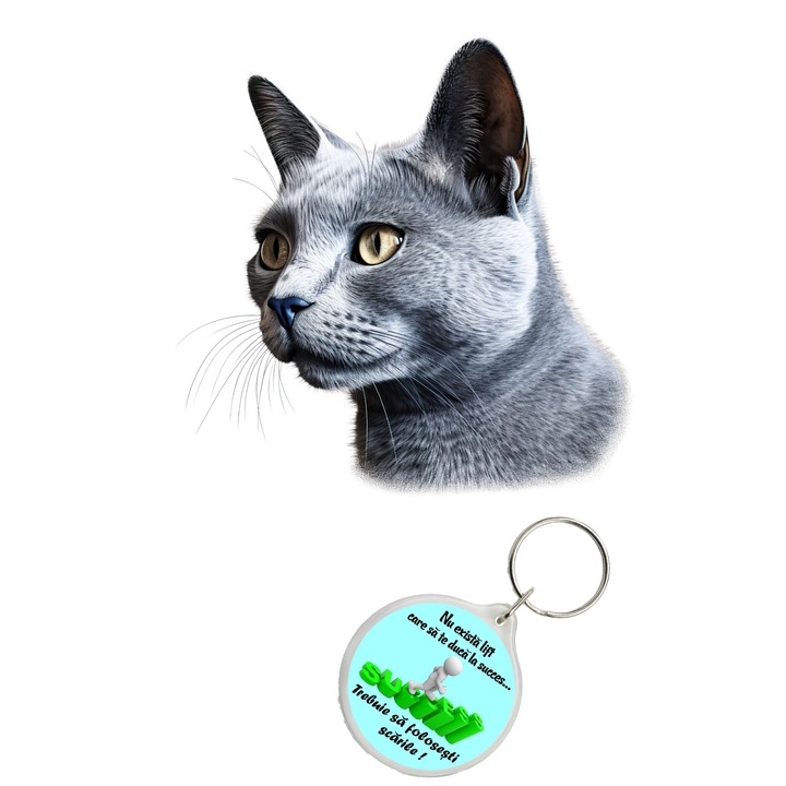 Set sticker decorativ perete, auto si geam, Pisica - Russian Blue model 10, 40 CM si breloc succes