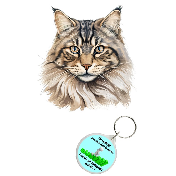 Set sticker decorativ perete, auto si geam, Pisica - Siberian model 8, 40 CM si breloc succes