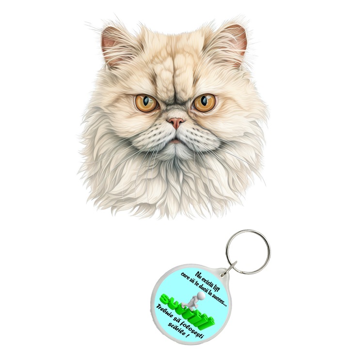 Set sticker decorativ perete, auto si geam, Pisica - Persian model 1, 40 CM si breloc succes