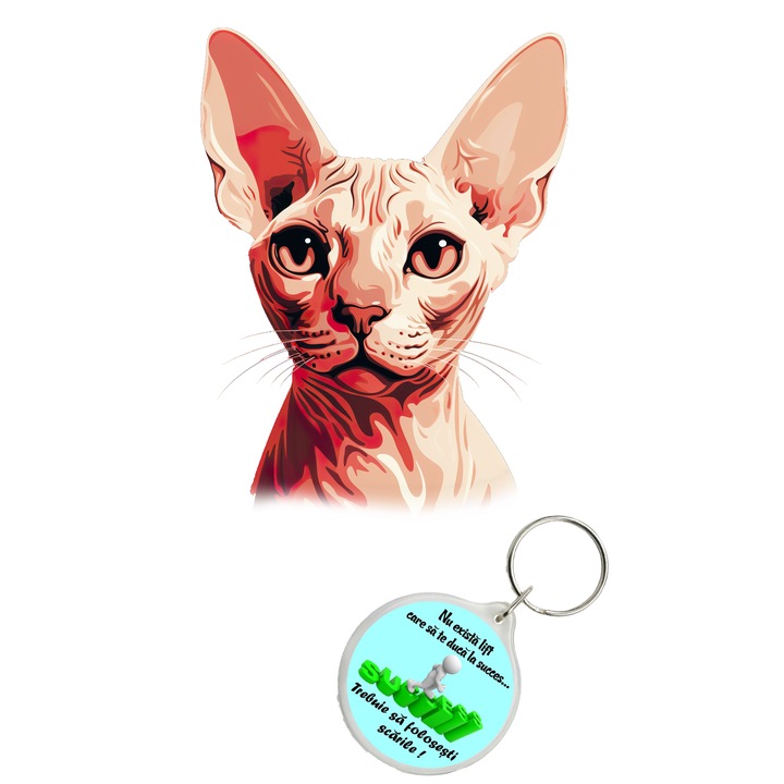 Set sticker decorativ perete, auto si geam, Pisica - Sphynx model 6, 35 CM si breloc succes