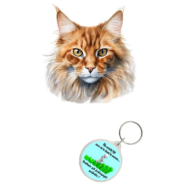 Set sticker decorativ perete, auto si geam, Pisica - Somali model 6, 35 CM si breloc succes