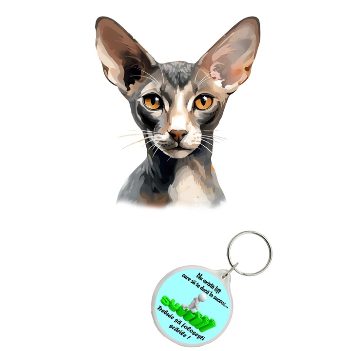 Set sticker decorativ perete, auto si geam, Pisica - Oriental Shorthair Cat model 14, 35 CM si breloc succes