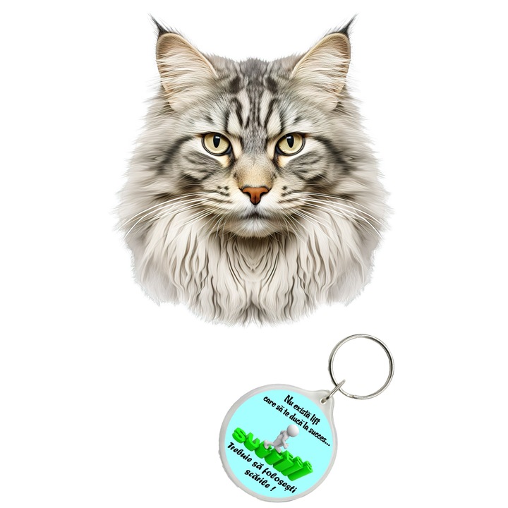 Set sticker decorativ perete, auto si geam, Pisica - Siberian model 6, 35 CM si breloc succes