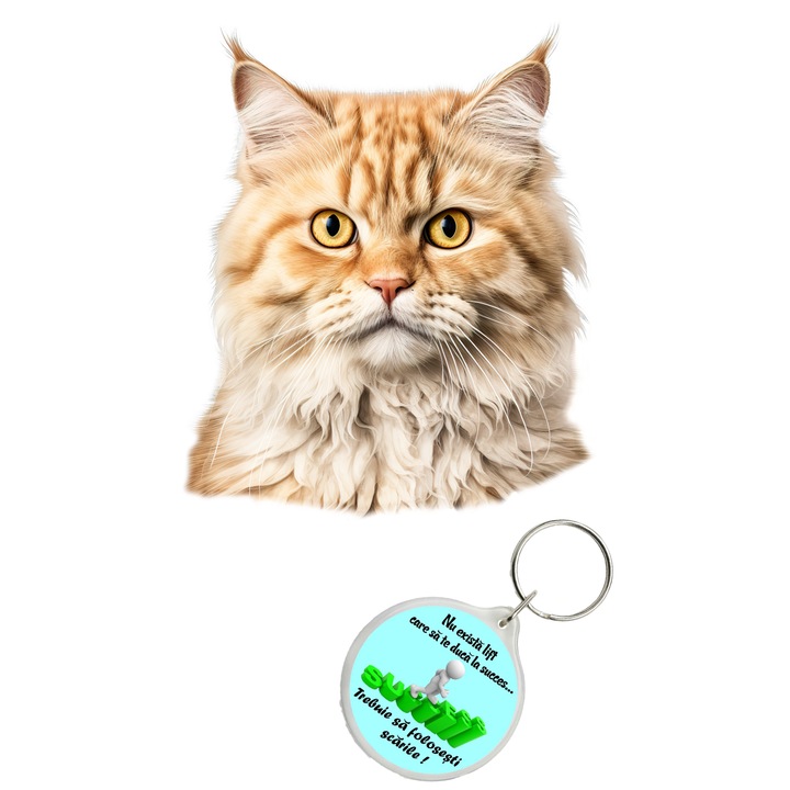 Set sticker decorativ perete, auto si geam, Pisica - Selkirk Rex model 4, 20 CM si breloc succes