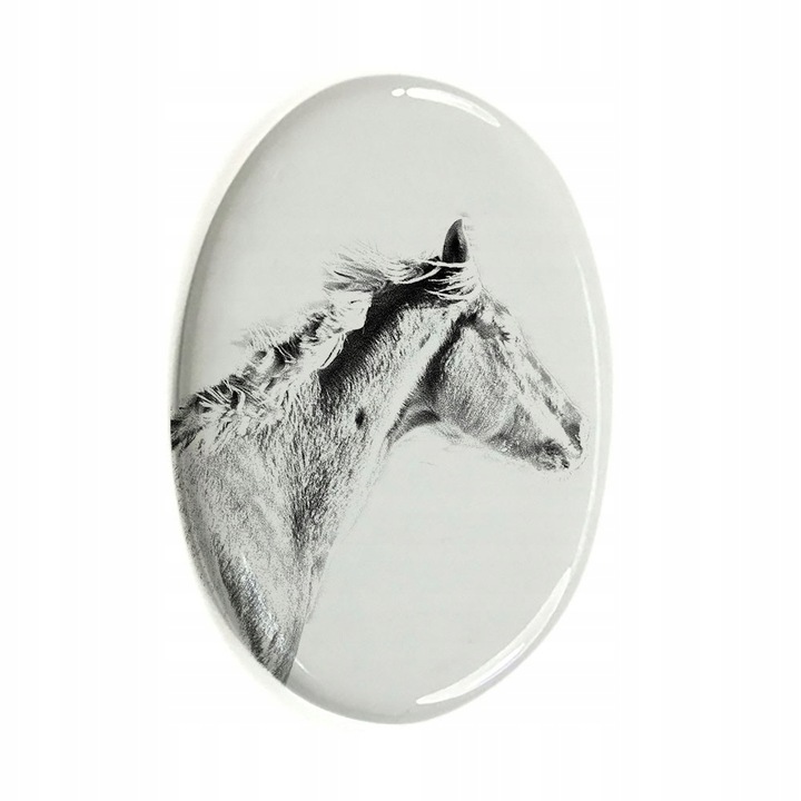 Piatra funerara pentru cal, Thoroughbred, Ceramica, Alb