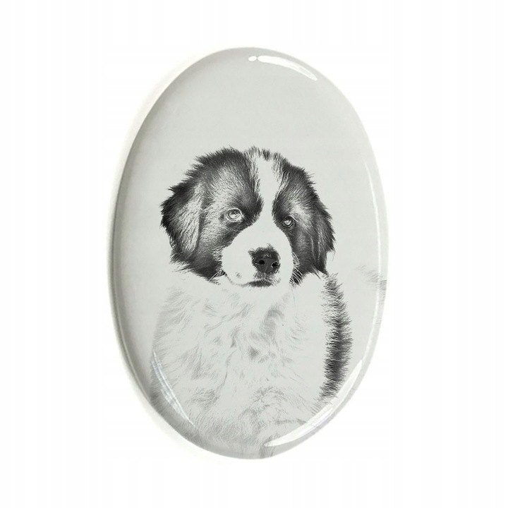 Placa funerara pentru caini, Ceramica, Tornjak, Alb