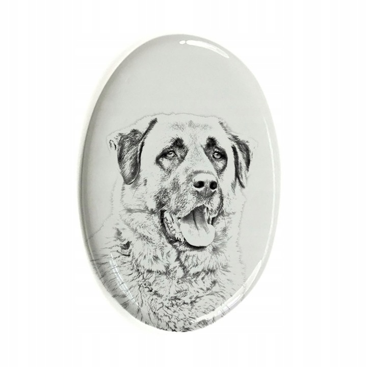 Placa funerara pentru caini, Ceramica, Alb