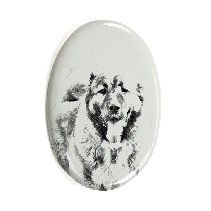 Placa funerara pentru caini, Ceramica, 10 x 7,5 cm, Alb