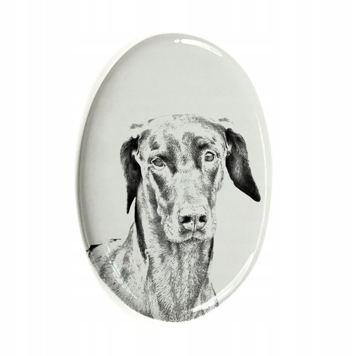 Placa funerara pentru caini, Ceramica, Doberman, Alb