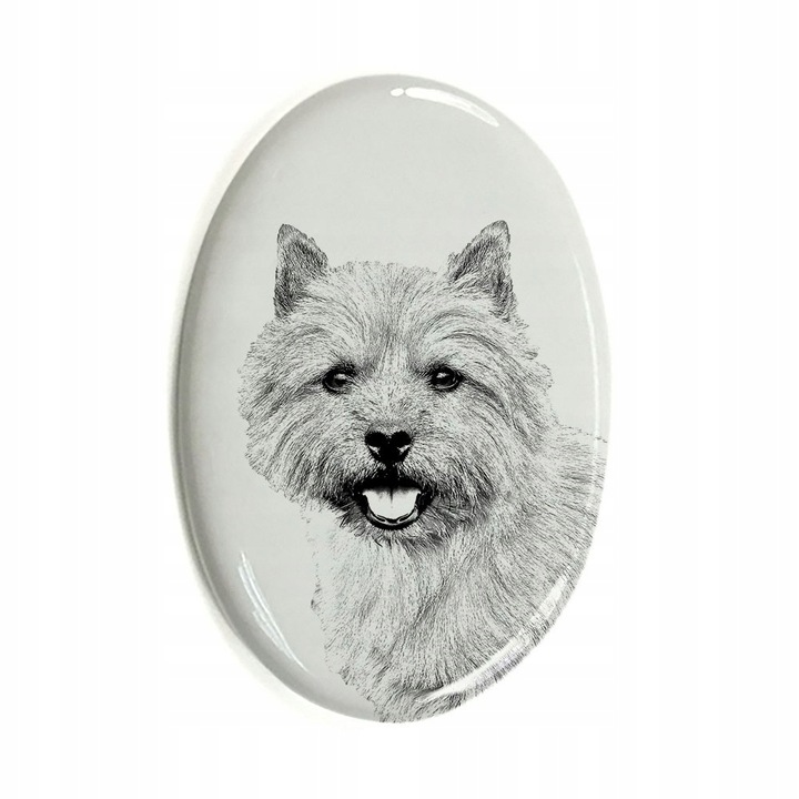Piatra funerara animal de comapanie, Caine Norwich Terrier, Alb