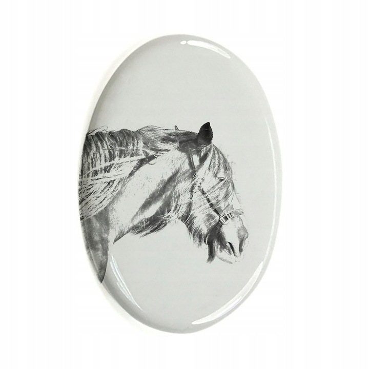 Piatra funerara animal de comapanie, Cal Shire