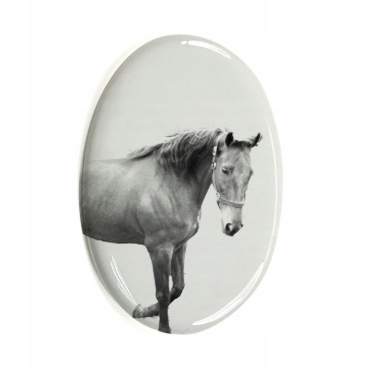 Piatra funerara pentru cal, American Saddlebred, Ceramica, Alb/Gri