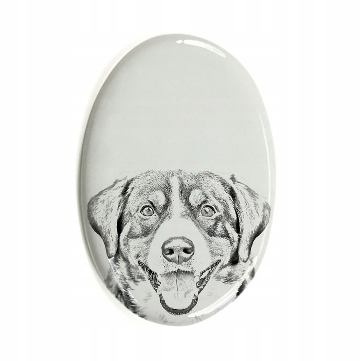 Piatra funerara animal de comapanie, Caine Entlebucher, Alb