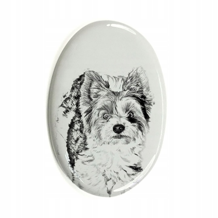 Placa funerara Terrier, Ceramica, 10x7.5 cm, Alb