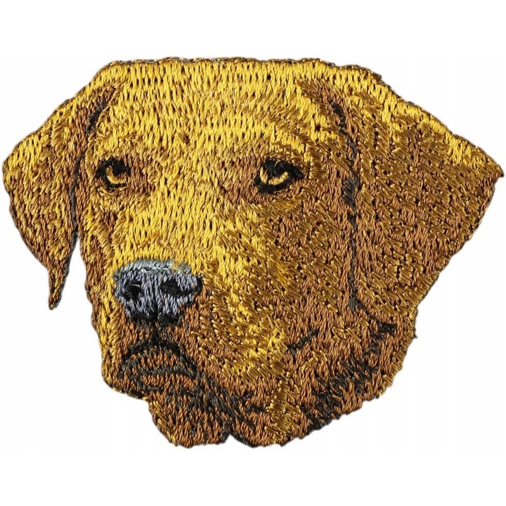 Petic brodat, Model Chesapeake Bay retriever, Maro