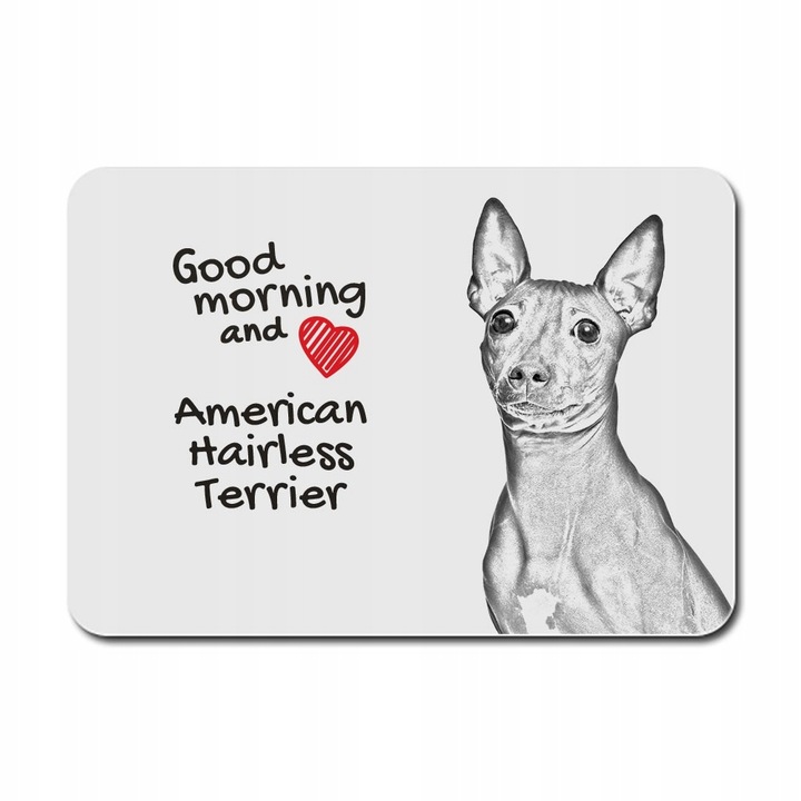 Mousepad, Model cu mesaj, Gri