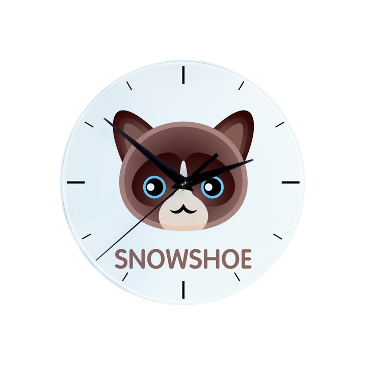 Dekoratív óra, Art-Dog, Snowshoe macska, Többszínű