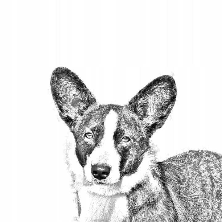 Обеци за уелско корги, Art-Dog, метални, сиви