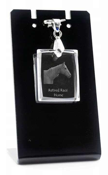 Nyugdíjas versenyló nyaklánc, Art-Dog, kristály, fekete/átlátszó