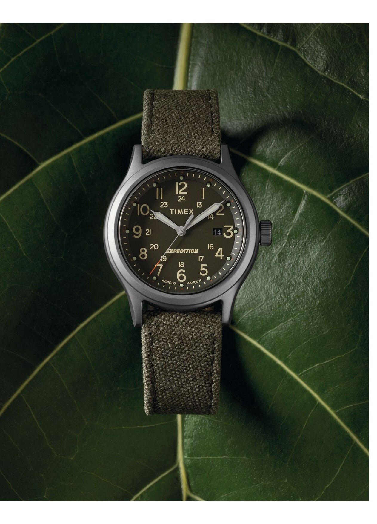 Ceas barbati Timex TW2V07100, Quartz, Verde - eMAG.ro