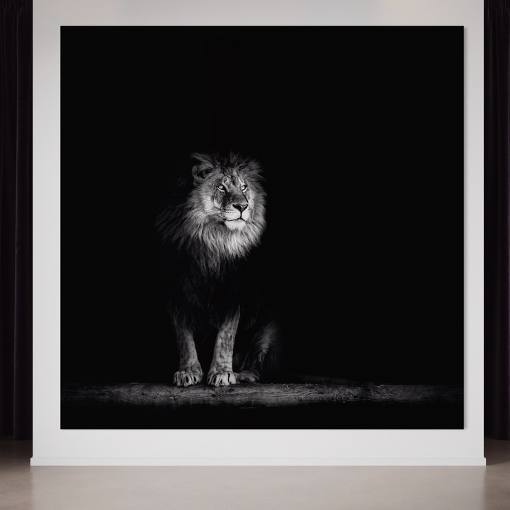 Премиум Канава Картина, LuxCanva® A1258, Лъв Черно-Бял, 75 X 75 СМ, 100% Памучно Платно 400гр/м2, Дървена Рамка, Хол, Животно, Кралят на Джунглата, Сафари, Спалня, Декоративен