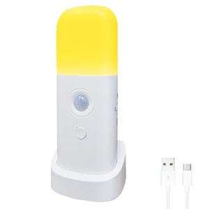 Proiectoare, Lampi & Leduri