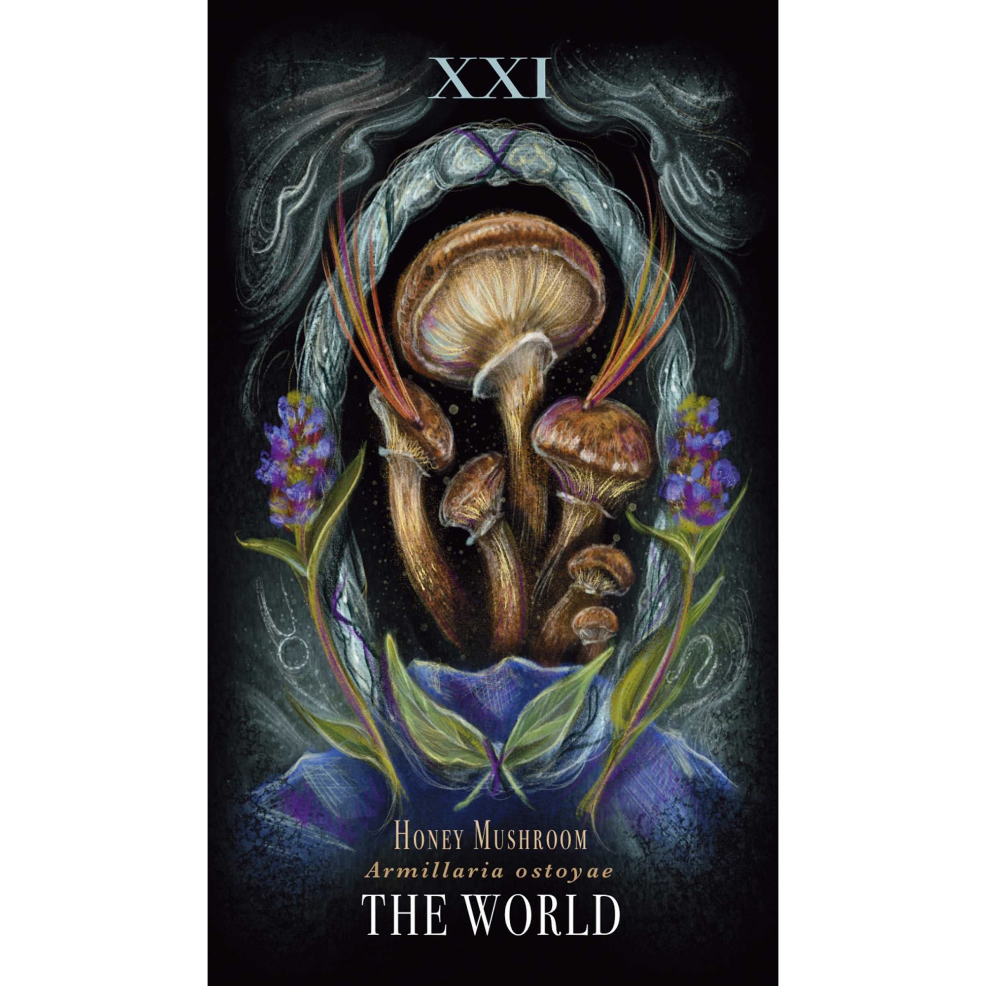 Midnight Magic A Tarot Deck of Mushrooms - Sara Richard - eMAG.ro