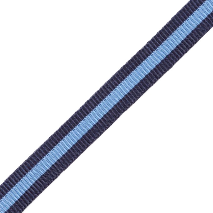 Capastru pentru manz, albastru deschis