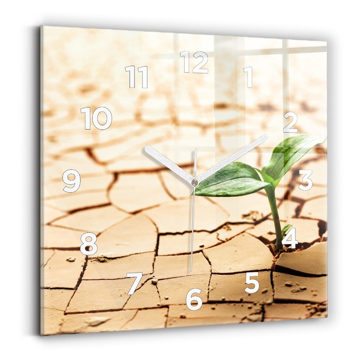 Falióra, Wallfluent, üveg, Fehér mutatók, számok, Növény száraz talajba, Zöld, Négyzetek 30x30 cm, 010010500010100273493