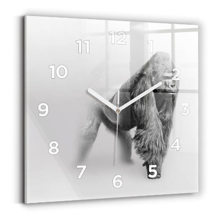 Falióra, Wallfluent, üveg, Fehér kezek, számok, Állatművészeti gyűjtemény, Fekete, Négyzetek 30x30 cm, 010010500010100272525