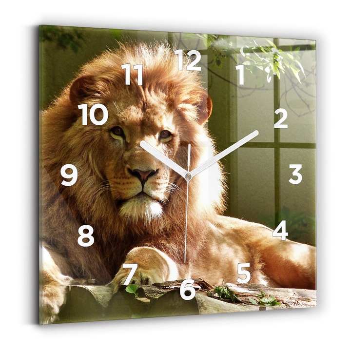 Falióra, Wallfluent, üveg, Fehér kezek, számok, Oroszlánportré, Sárga, Négyzetek 30x30 cm, 010010500010100273695