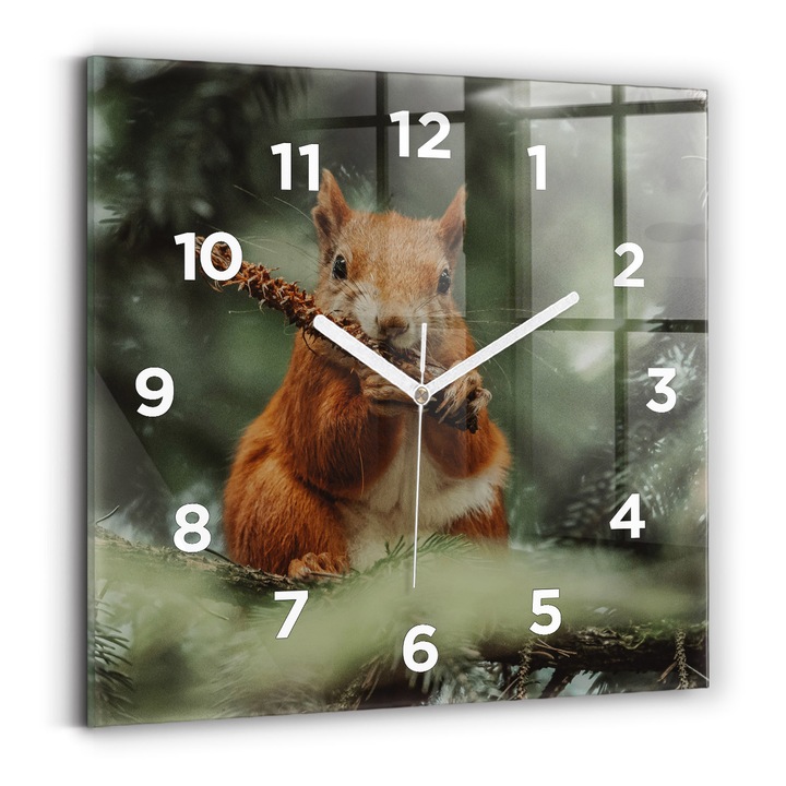 Falióra, Wallfluent, üveg, Fehér kezek, számok, Mókus és vad természet, Narancs, Négyzetek 30x30 cm, 010010500010100273769