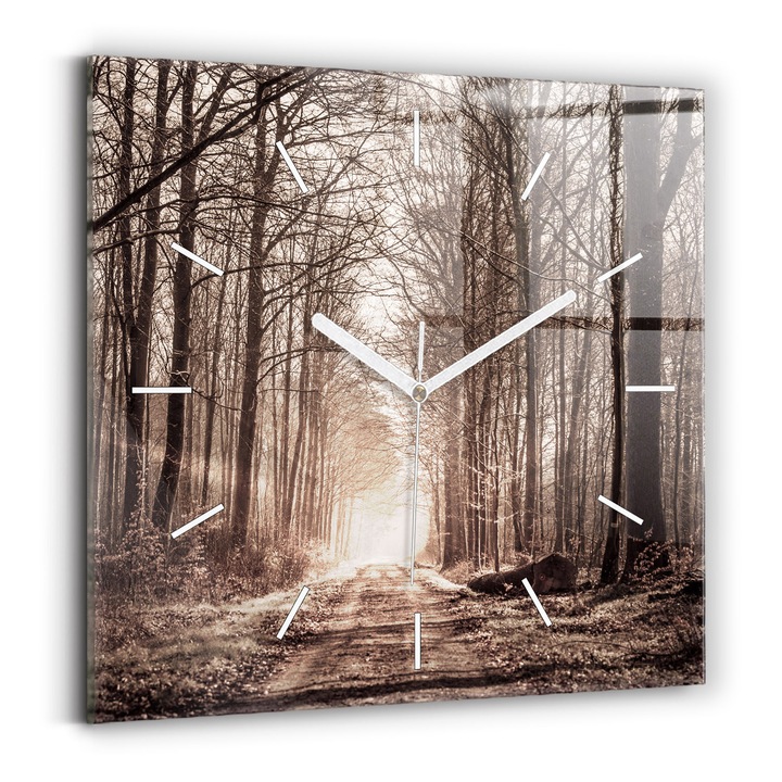Falióra, Wallfluent, üveg, Fehér mutatók, Számok nélkül, Erdei ösvény szépia színben, Barna, Négyzetek 30x30 cm, 010010500010100271646