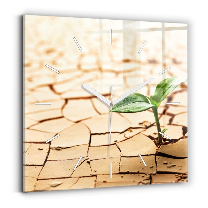 Falióra, Wallfluent, üveg, Fehér mutatók, Számok nélkül, Száraz talajba ültet, Zöld, Négyzetek 30x30 cm, 010010500010100271698