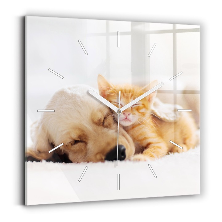 Falióra, Wallfluent, üveg, Fehér mutatók, Nincsenek számok, Álmos macska és kutya, Sárga, Négyzetek 30x30 cm, 010010500010100270965