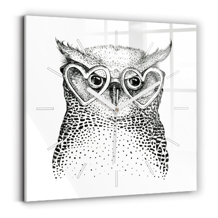 Falióra, Wallfluent, üveg, Fehér mutatók, Számok nélkül, Rajzfilm bagoly szemüveggel, Fekete, Négyzetek 30x30 cm, 010010500010100271309