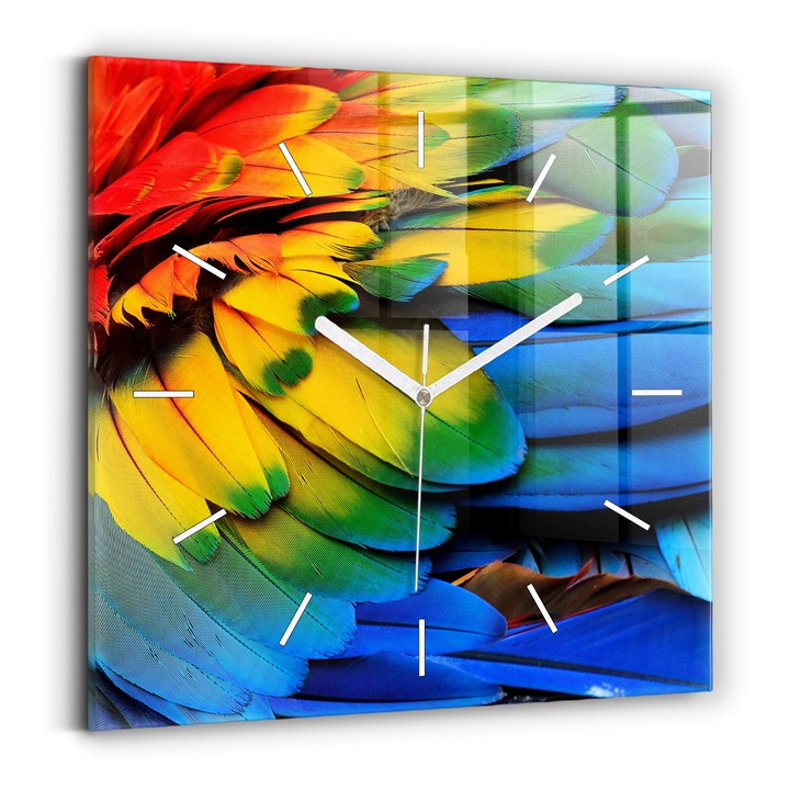Falióra, Wallfluent, üveg, Fehér mutatók, Nincsenek számok, Színes madárszárnyak, Többszínű, Négyzetek 30x30 cm, 010010500010100271108