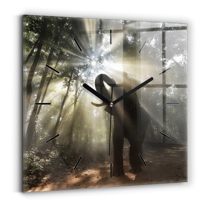 Falióra, Wallfluent, üveg, Fekete mutatók, Nincsenek számok, Elefánt a dzsungelben, Fekete, Négyzetek 30x30 cm, 010010500010200267735